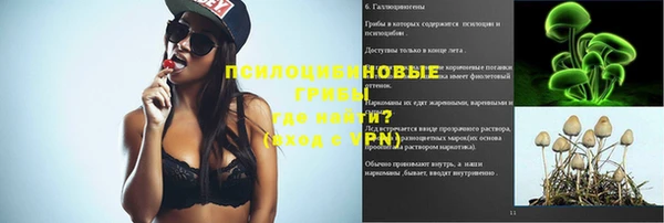 твердый Аркадак