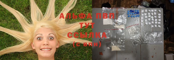 тгк Пестово