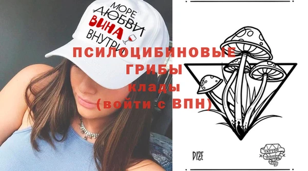 твердый Аркадак